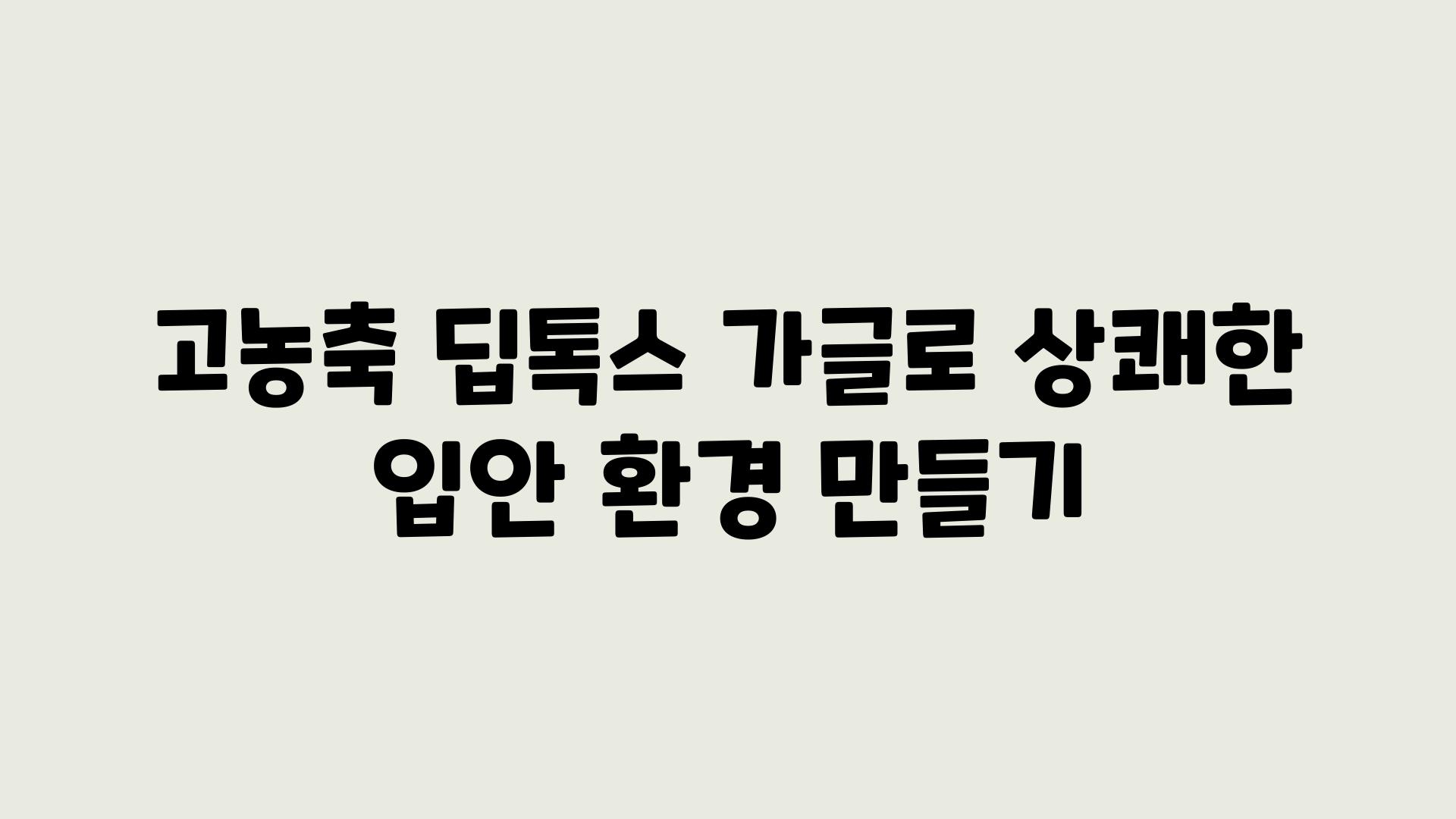 고농축 딥톡스 가글로 상쾌한 입안 환경 만들기