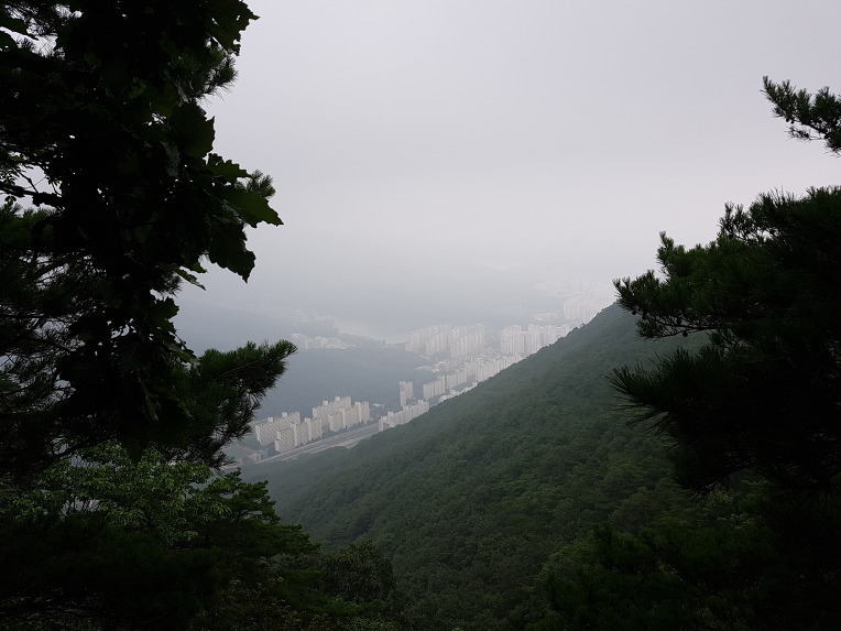 대구 대덕산 [청소년수련원~대덕산~매자골]