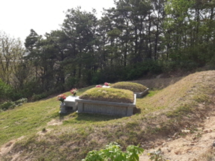 인천지방법원2022타경509641 본건 임야의 중간 부근의 묘지