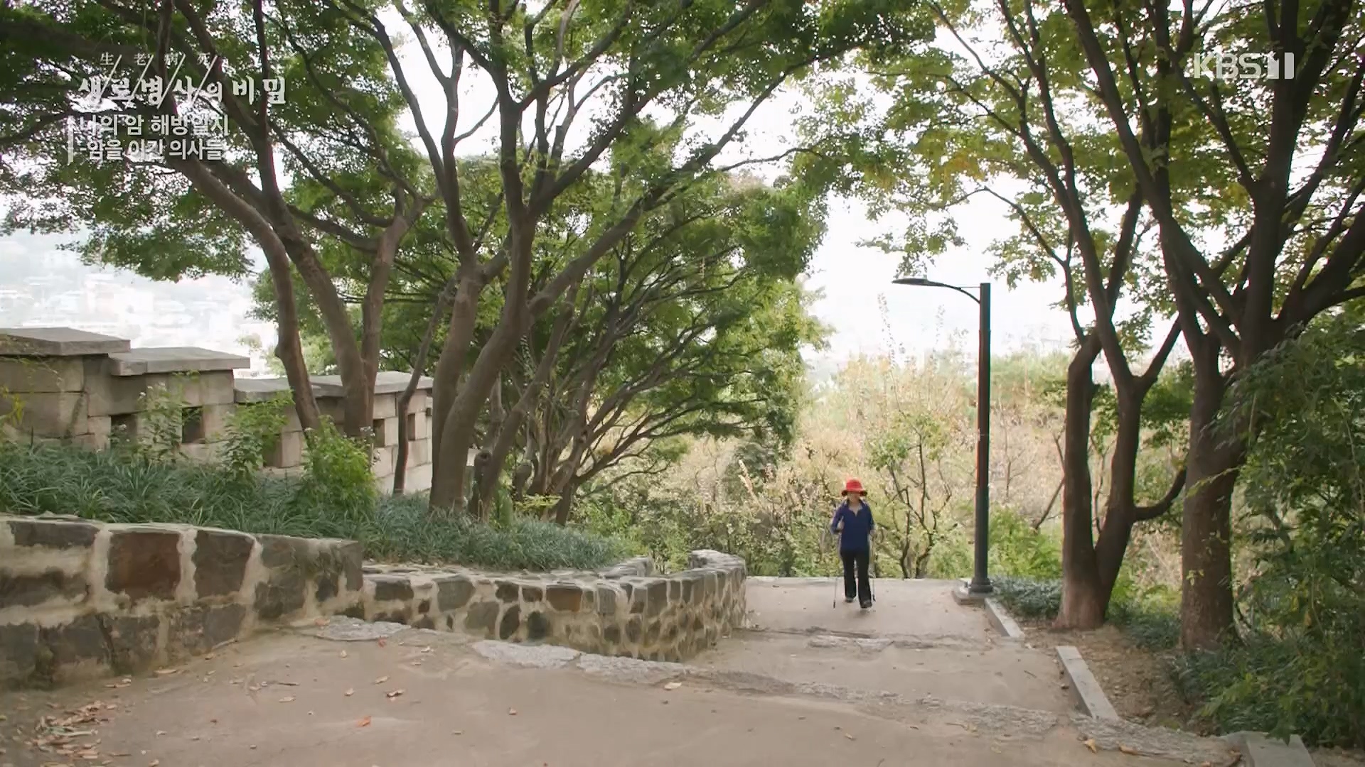 생로병사의 비밀.E889.231129p.H264-F1RST.mp4_20231130_204059.943.jpg