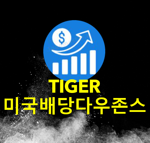  TIGER 미국배당다우존스, 월배당 ETF 추천, 한국형 SCHD, 퇴직연금, ETF 추천, 배당 ETF 추천