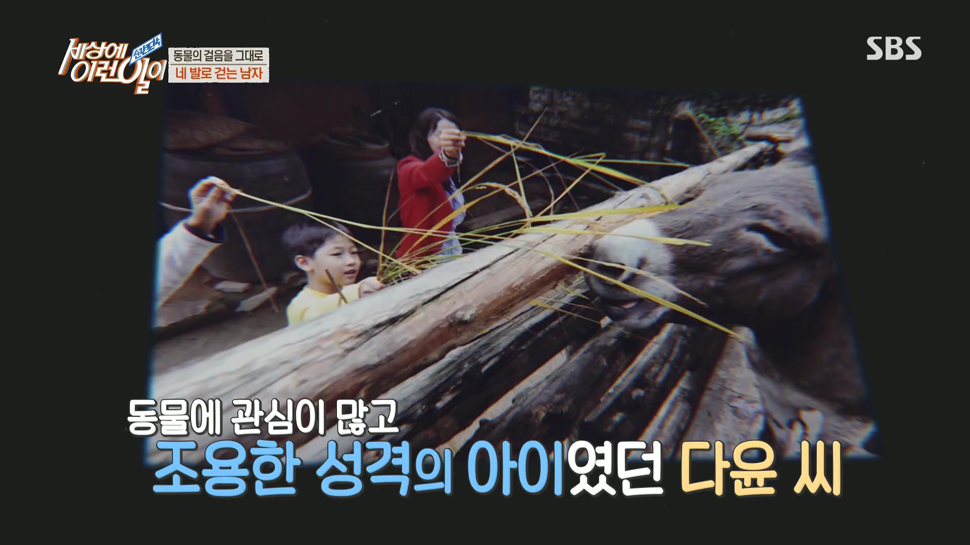 순간포착 세상에 이런일이.E1213.230110p.H264-F1RST.mp4_20230111_194925.480.jpg