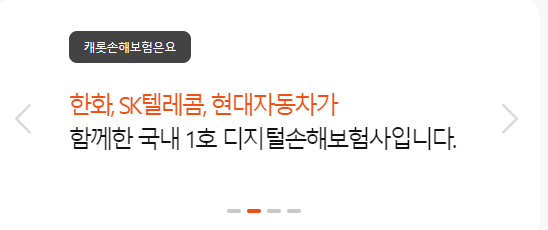 국내 1호 디지털 보험사