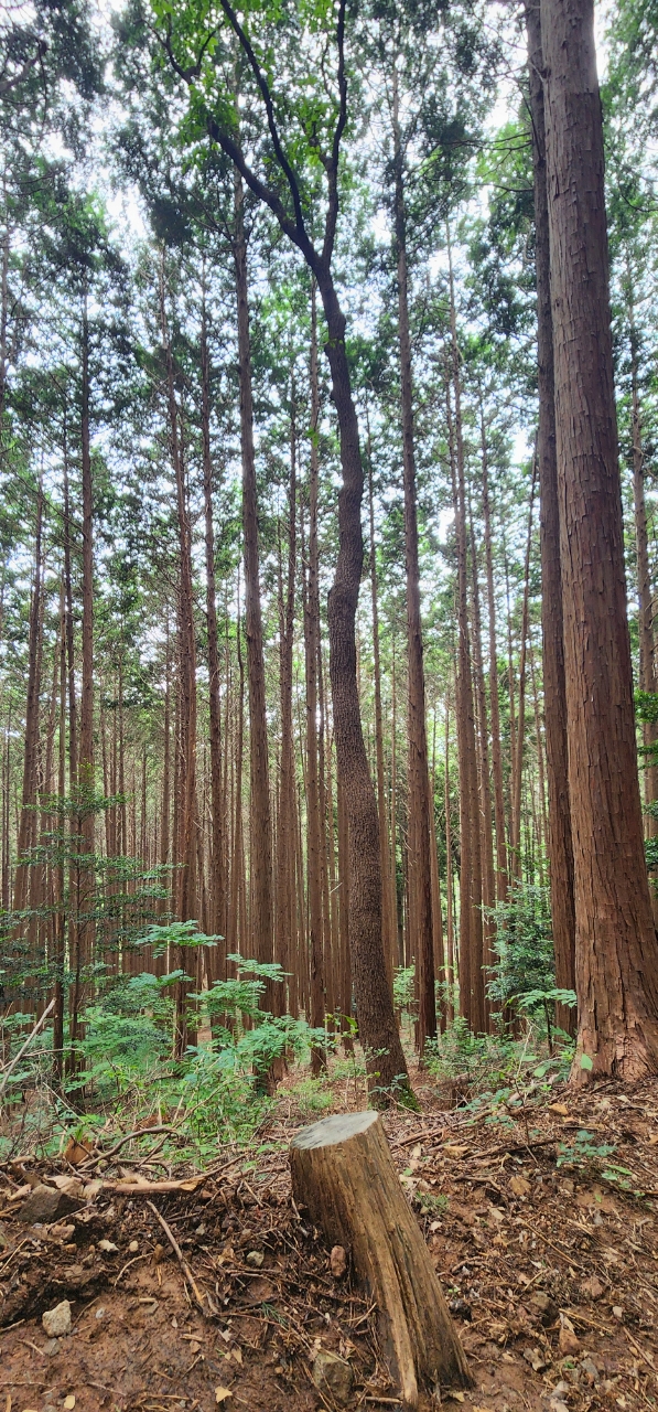 내면의 비판을 관리하고 내면의 코치를 강화하는 것은 쉽지 않지만, 올바른 전략을 사용하면 가능합니다.
인지하고 트리거를 식별하며, 부정적인 생각에 도전하고, 자기 연민을 실천하며, 마음챙김과 명상을 하고, 지지를 구하세요.

이러한 방법을 통해 더 긍정적이고 지지적인 내면의 대화를 만들 수 있습니다.
내면의 코치를 강화하여 자존감을 높이고 목표를 달성하며 더 건강하고 행복한 삶을 살 수 있기를 바랍니다.

이 글을 통해 내면의 비판을 관리하고 더 나은 삶을 살아가는 데 필요한 도구와 전략을 배워보세요.

당신의 내면의 코치를 강화하여 자신감을 키우고, 목표를 달성하며, 행복한 삶을 살아가길 바랍니다.