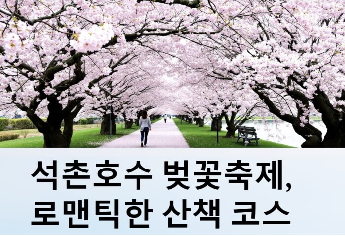 벚꽃이 활짝 피어 있는 이미지