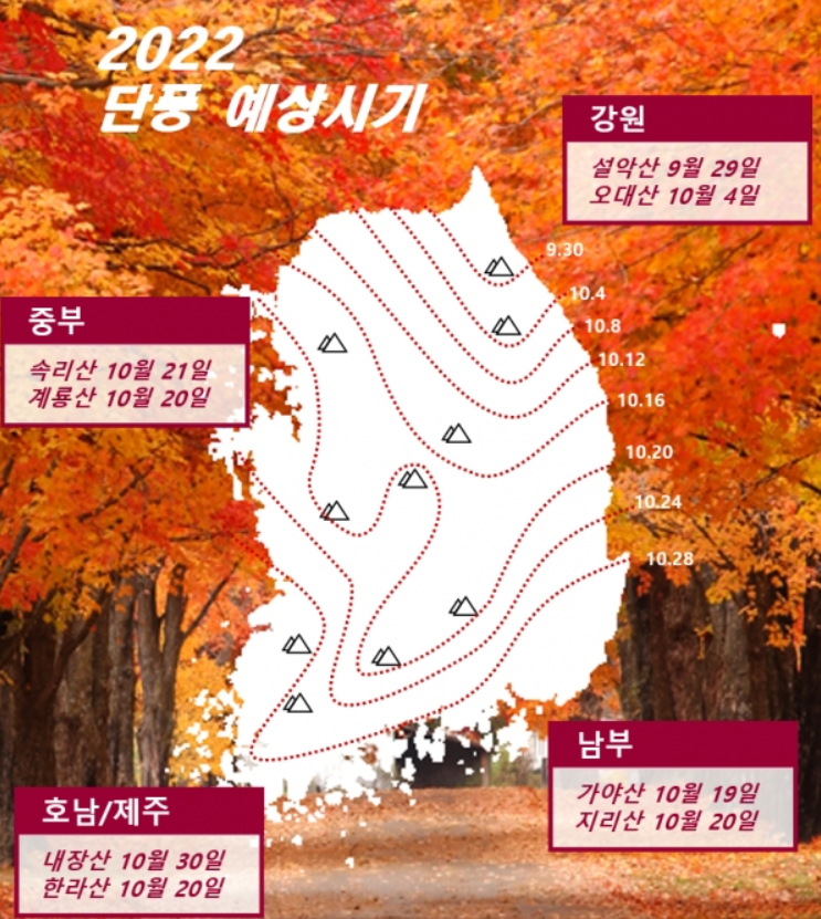 2022년 단풍 예상시기