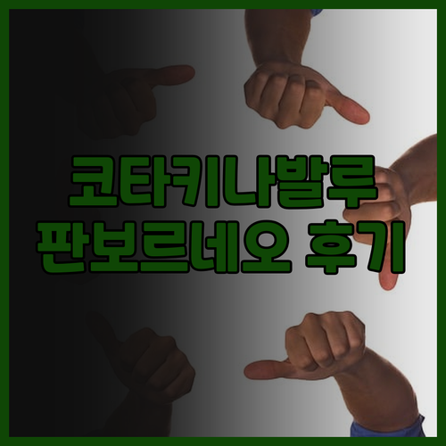 판 보르네오 호텔 코타 키나발루 숙박