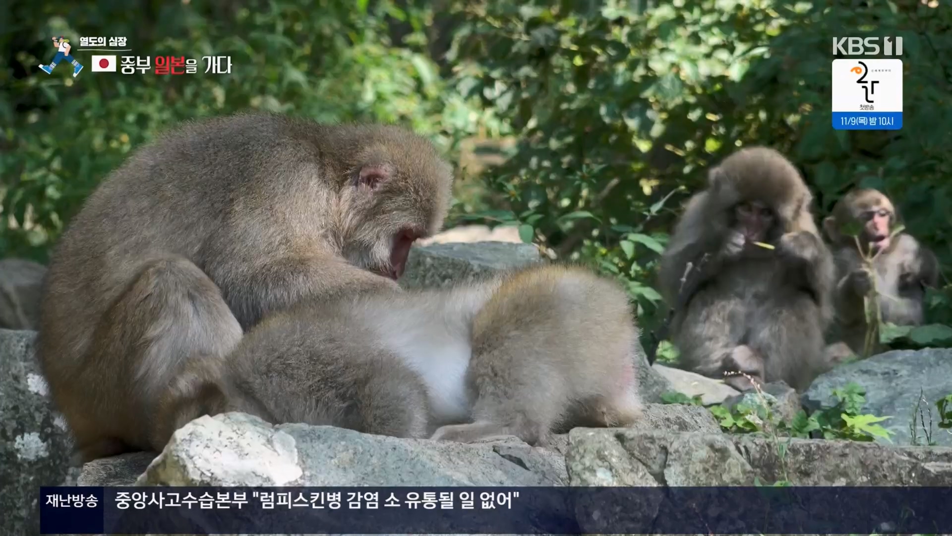 걸어서 세계속으로.E814.231028p.H264-F1RST.mp4_20231029_173154.739.jpg