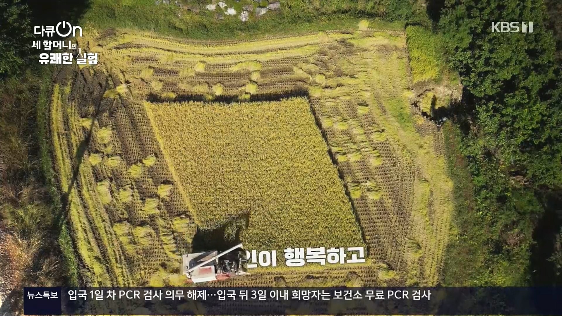 다큐 On.E166.221028p.H264-F1RST.mp4_20221031_194212.743.jpg