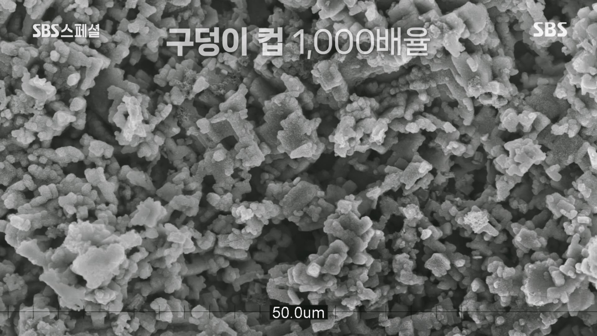 SBS 스페셜.최종.E659.231112p.H264-F1RST.mp4_20231114_204732.766.jpg