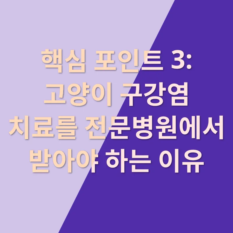 고양이 구강염 치료_3