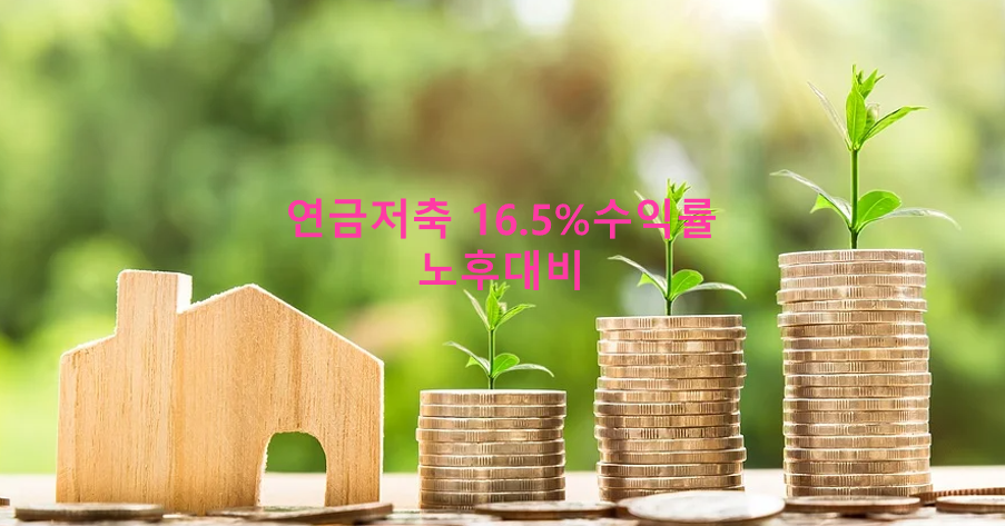  20대,30대 연금저축 연16.5% 수익내며 노후준비 하자