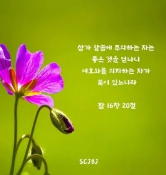 잠언 16장 솔로몬 성경 해석 이해_8