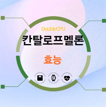 칸탈로프멜론 효능 탐구