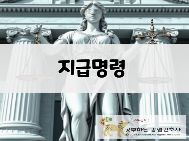 법률 상식 &quot;지급명령&quot;이해하기 : 뜻, 신청 조건, 절차, 이의 신청