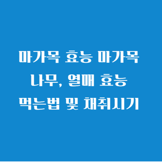 마가목 효능 마가목 나무&#44; 열매 효능 먹는법 및 채취시기