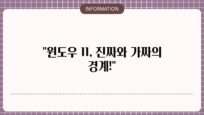 windows 11 정품인증