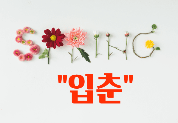  입춘 : 봄의 시작을 알리는 첫번째 절기! 의미와 풍습 쓱~정리!
