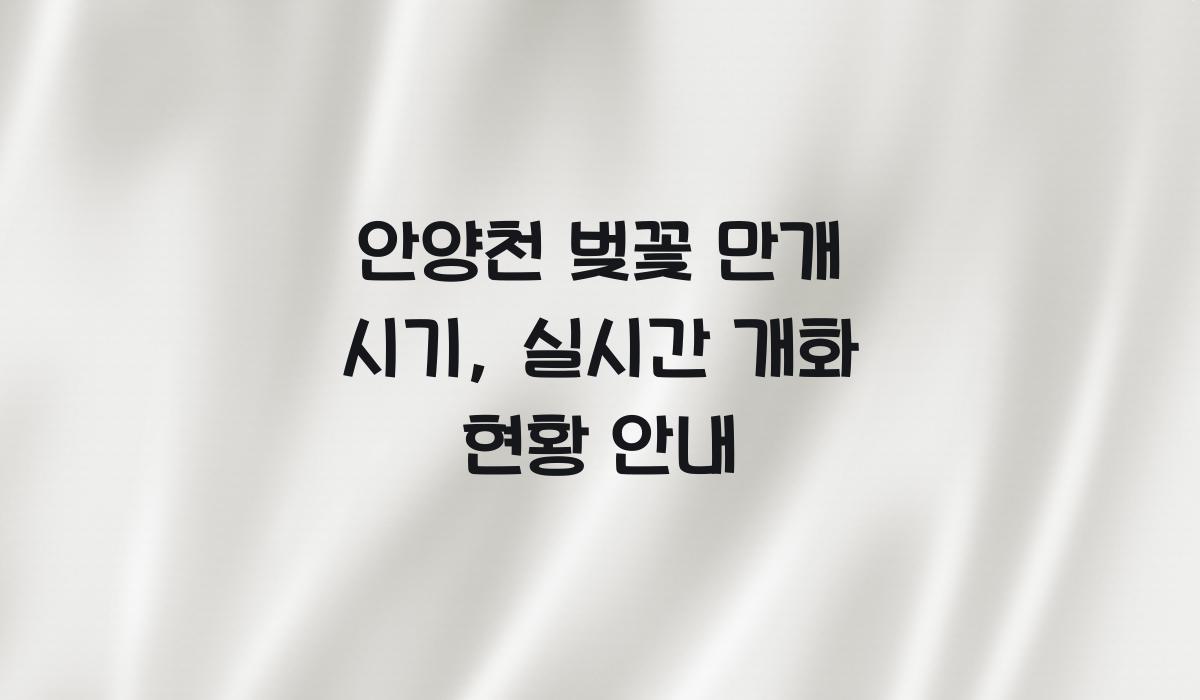 안양천 벚꽃 만개 시기