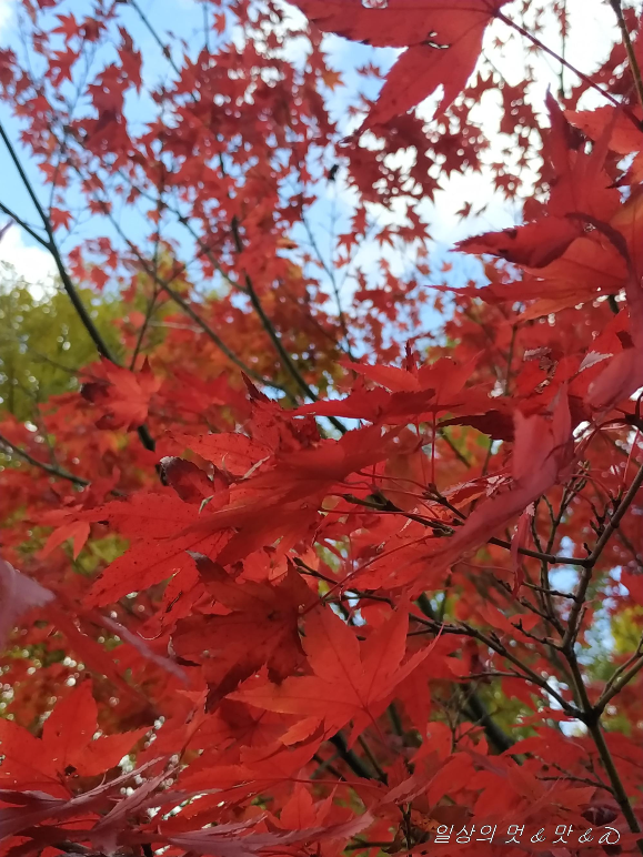 용담정 메인