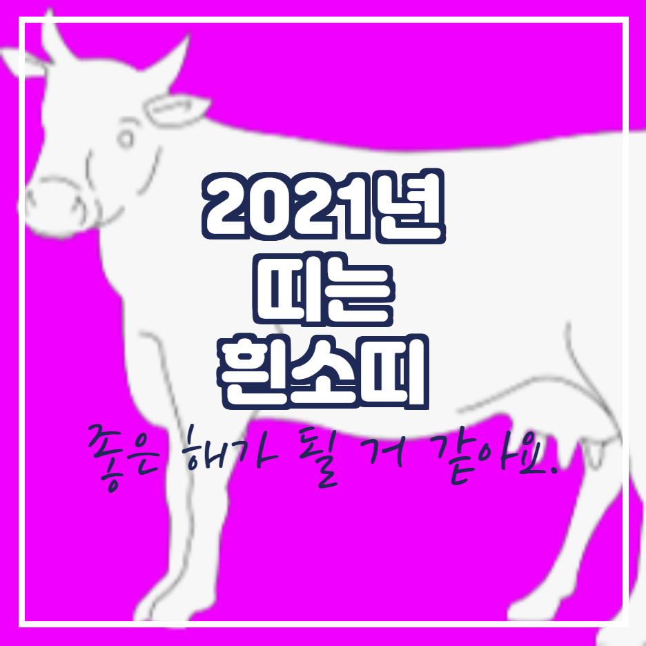  2021년 흰소띠 입니다.