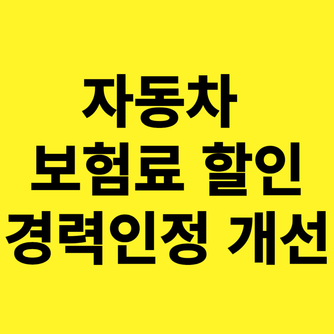 자동차보험&#44; 운전 경력단절 경력인정기준 개선&#44; 보험료 감소&#44; 할인