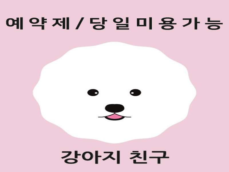 1호선 제물포역 애견미용 잘하는 곳 BEST4 | 빠른 예약 | 후기 검색 | 할인 혜택 | 애견미용 안내 | 전문가 추천 | 총정리 - 3. 강아지친구 소개 3. 강아지친구 소개