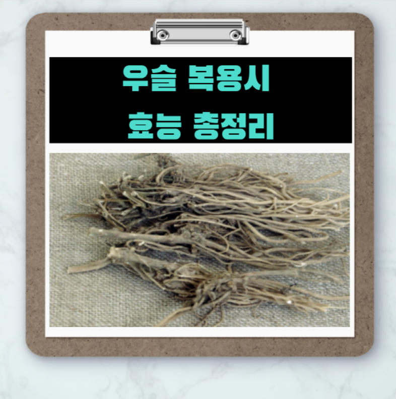  관절과 혈류에 좋은 '우슬' 효능 및 복용법