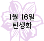 이 이미지를 클릭하시면 1월 16일 탄생화에 대한 포스팅으로 이동됩니다.