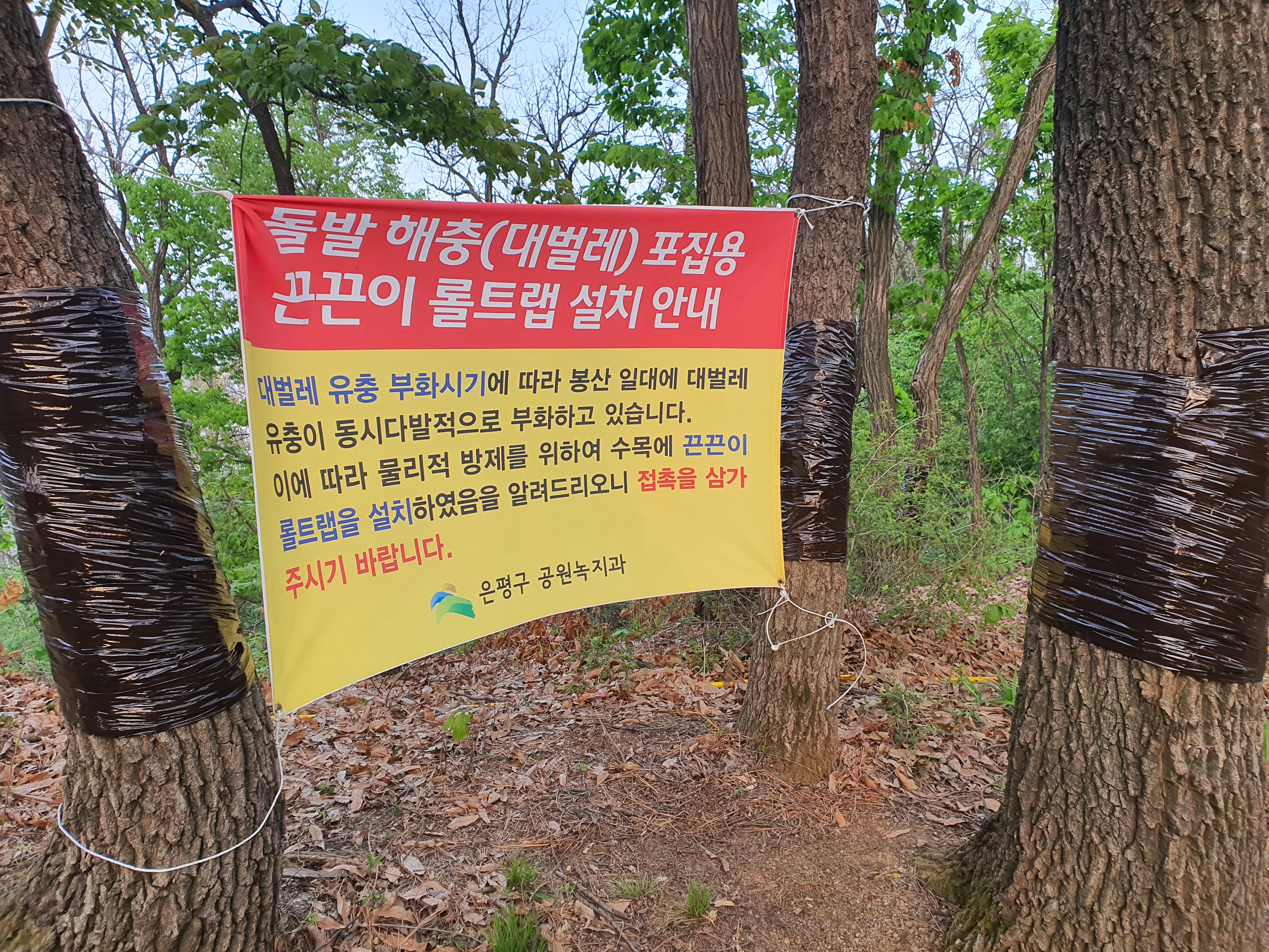 서울 둘레길 7코스 일부 &#39;은평 둘레길&#39; 봉산