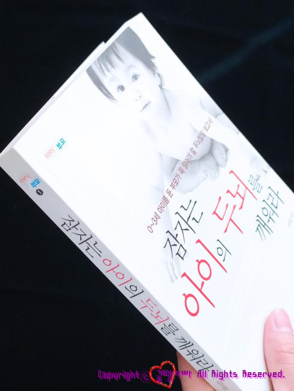  [독서후기]  잠자는 아이의 두뇌를 깨워라 (1장. 아이는 배우고 싶어한다) 독서후기