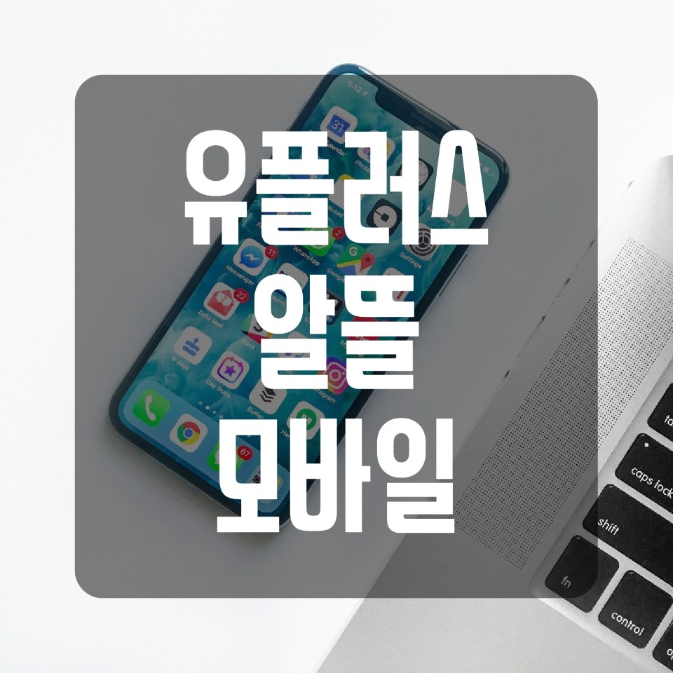  U+유플러스 알뜰모바일 요금제 총 정리!