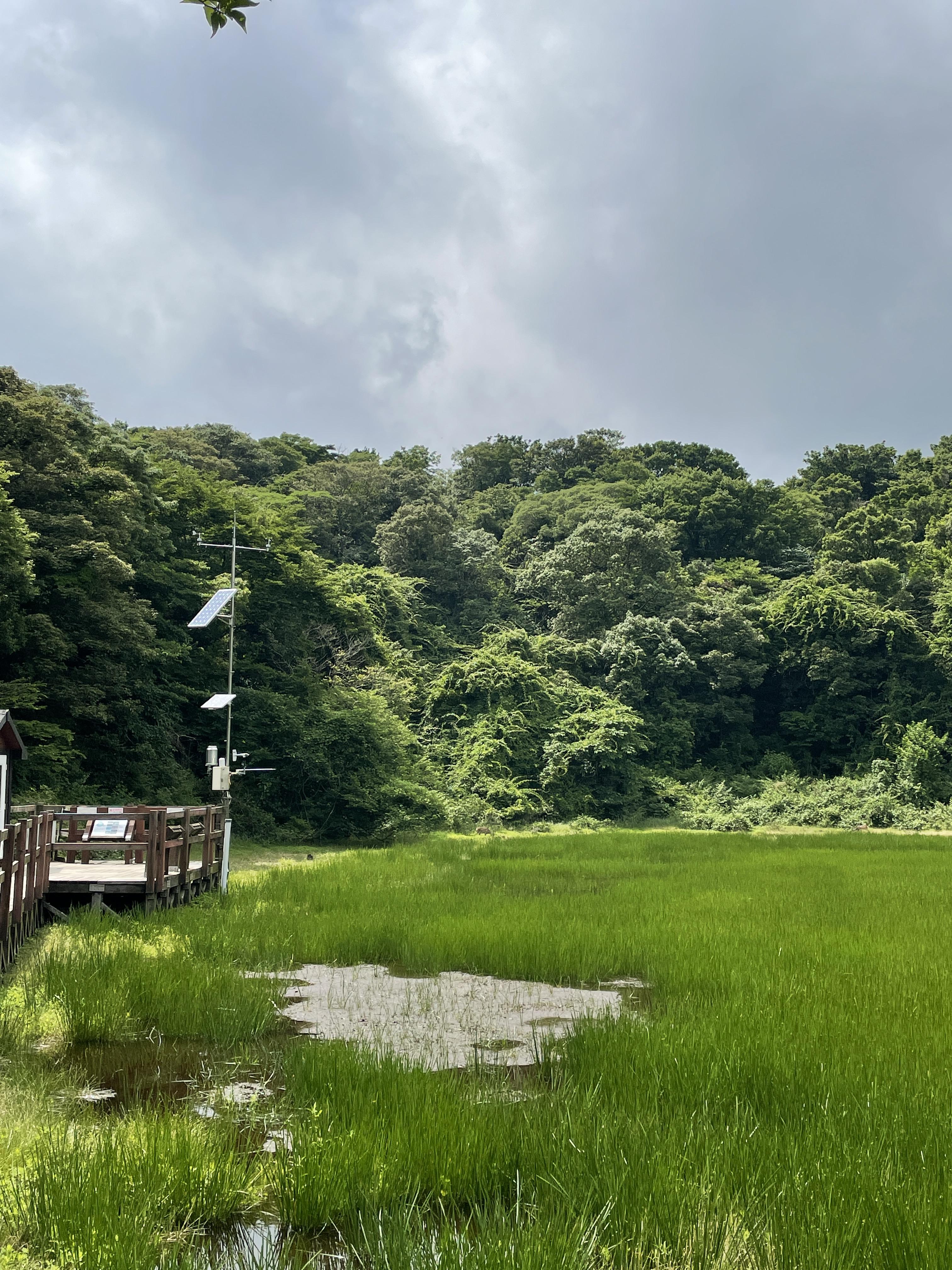 제주도여행-제주가볼만한곳-제주도오름-물영아리