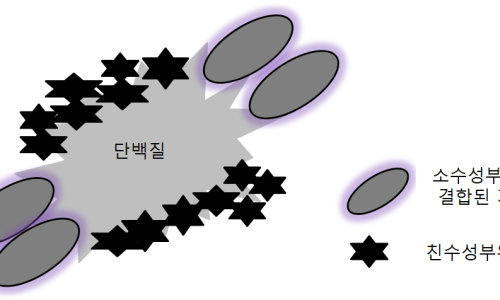 성대식품 이미지