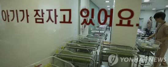  뉴욕타임스의 한국 초저출산율 분석
