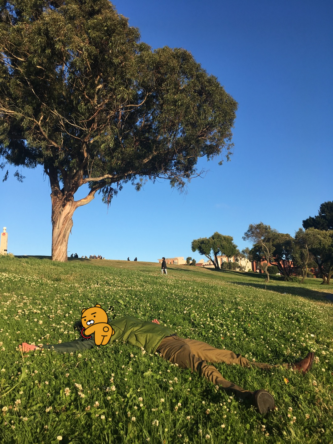 fort mason during day time&#44; man lying down on the grass