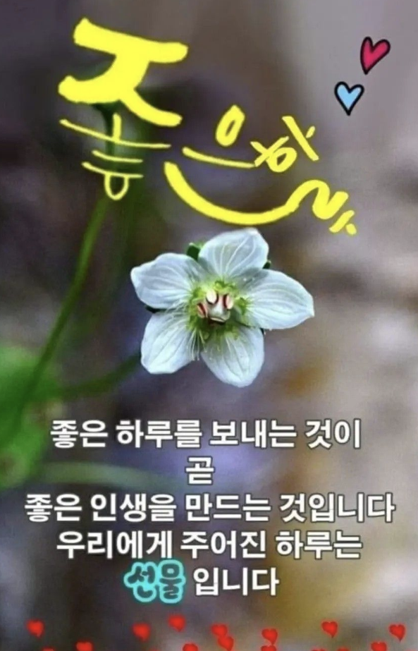 일요일 아침인사말