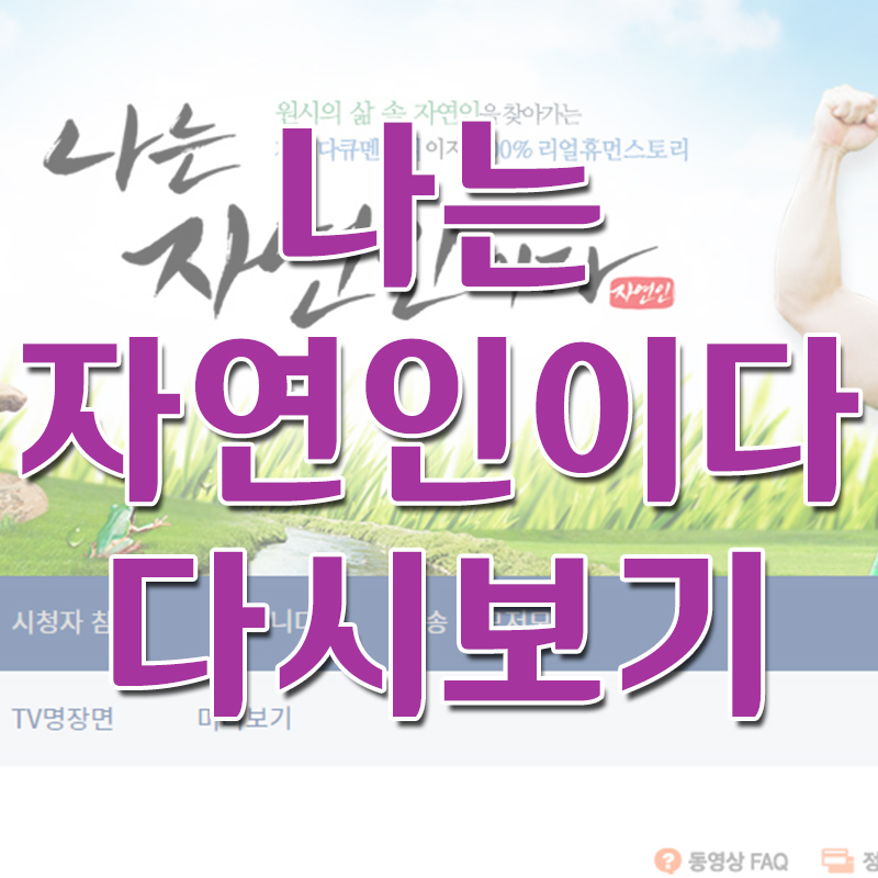  나는 자연인이다 다시보기