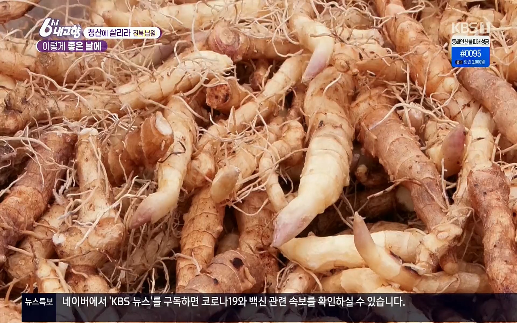 6시 내고향.E7496.220324p.H264-F1RST.mp4_20220328_181626.292.jpg