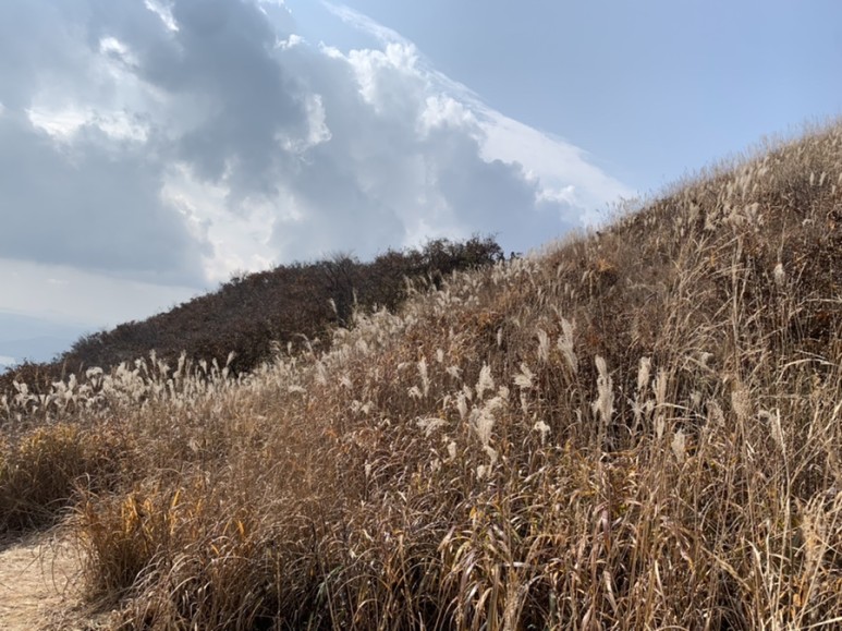 오서산 최단코스 [BAC 100대명산 / 보령 오서산 최단코스] 오서산자연휴양림 ~ 월정사 65