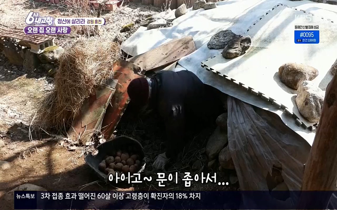 6시 내고향.E7501.220332p.H264-F1RST.mp4_20220402_201648.854.jpg