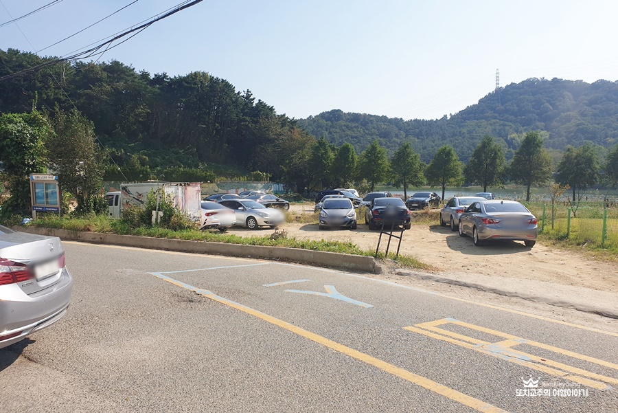 도로 옆 공터에 차들이 주차되어 있다