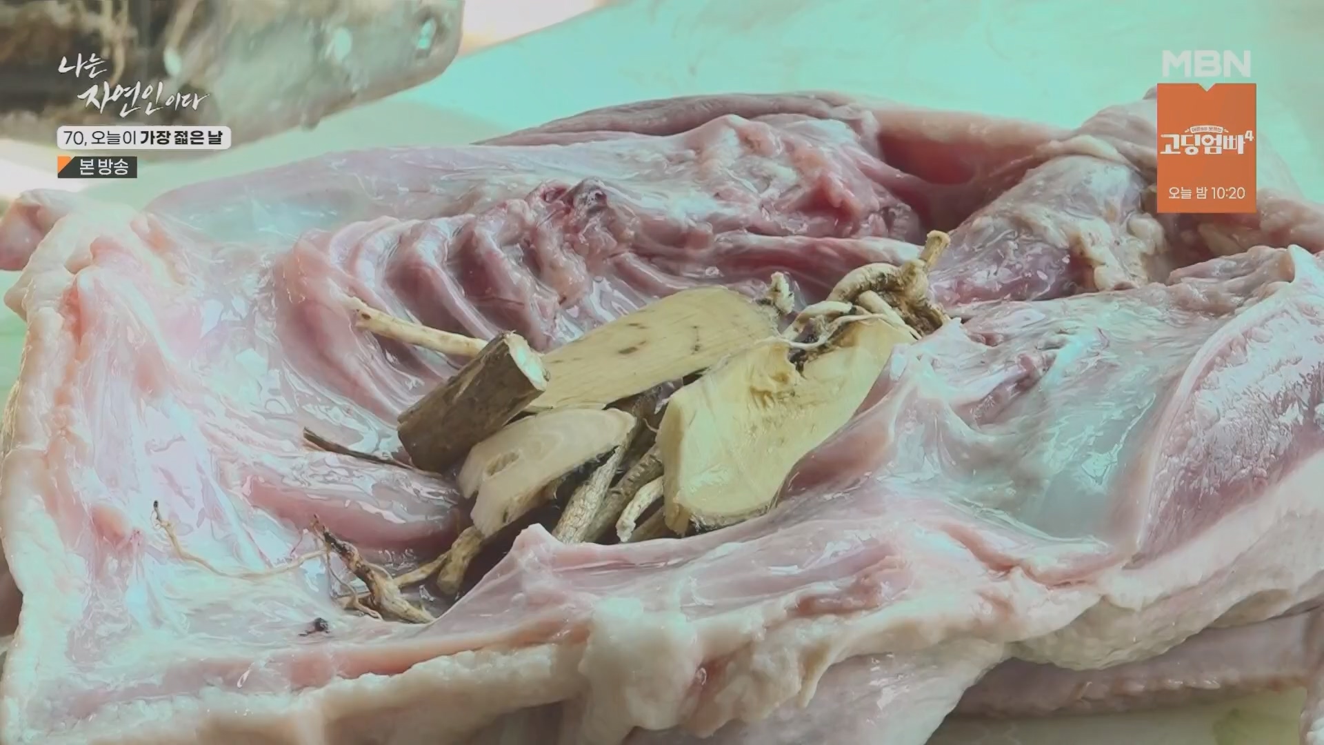 나는 자연인이다.E565.230802p.H264-F1RST.mp4_20230803_203357.283.jpg