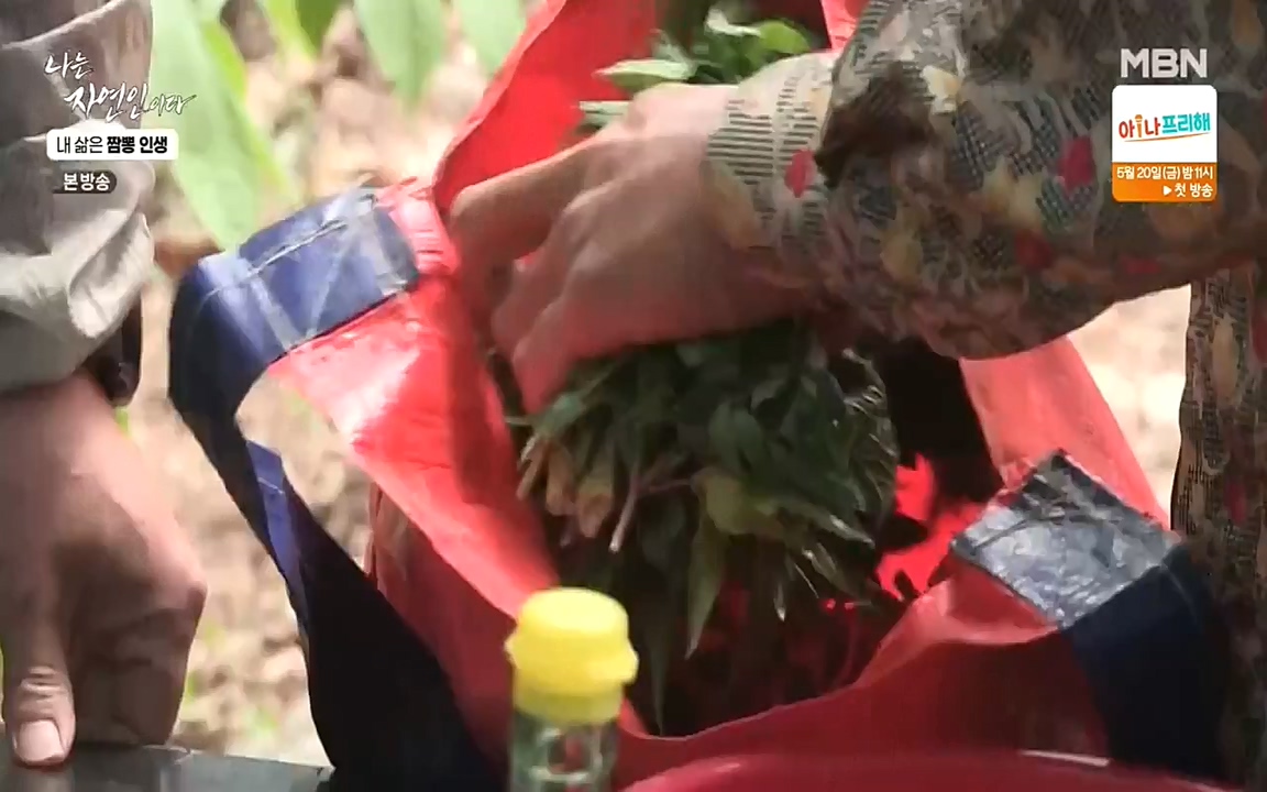 나는 자연인이다.E502.220519p-NEXT.mp4_20220519_182340.357.jpg