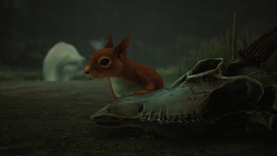 (Hogwarts Legacy) 사소한 게임 스크린샷 모음 3