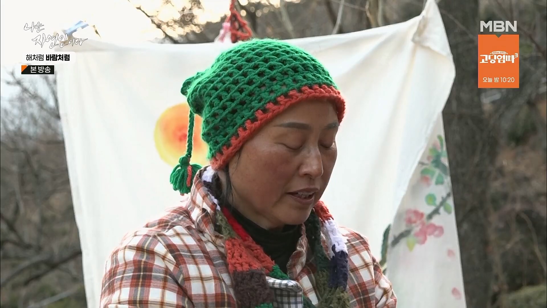 나는 자연인이다.E542.230222p.H264-F1RST.mp4_20230223_195857.864.jpg