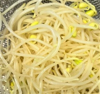 삶은콩나물