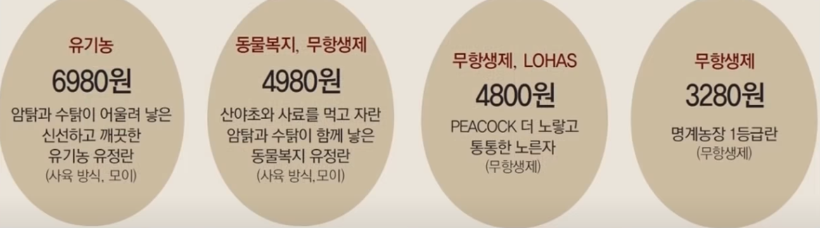 계란 고르는법, 먹는법 100% 정리 계란 고르는법, 먹는법 100% 정리