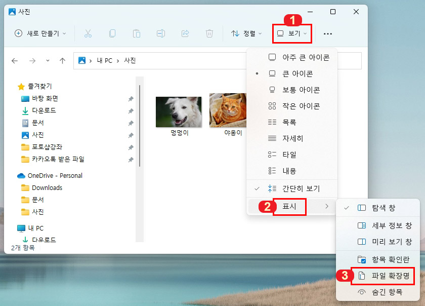 윈도우11 파일 확장자 보기