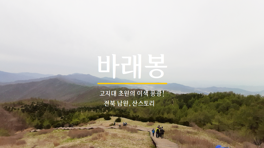 몽달 이미지